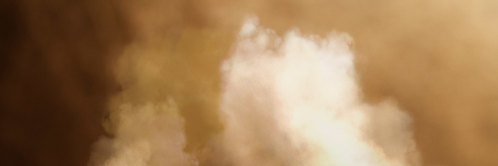 bg3